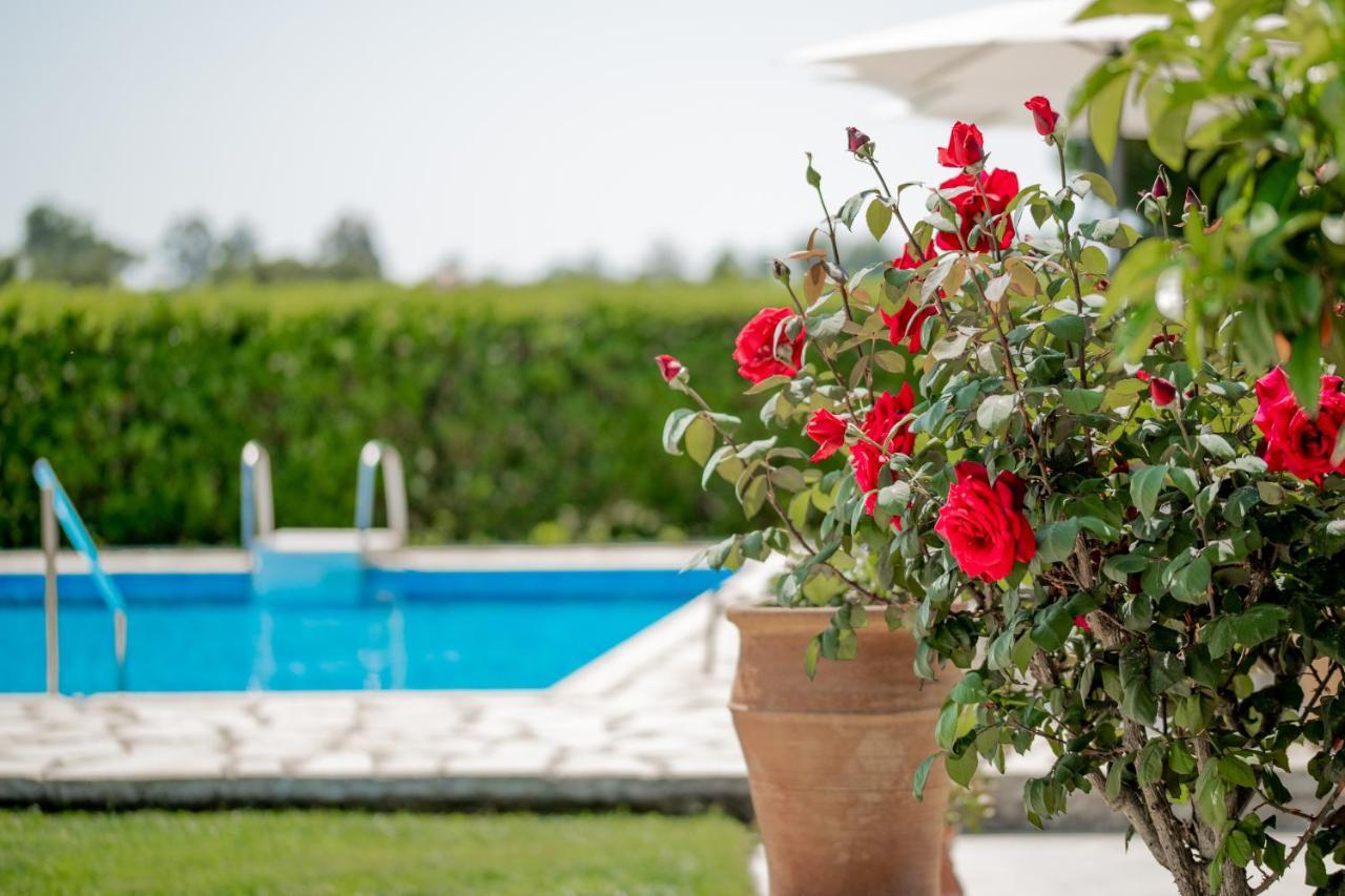 Villa In Pietra Kalamaras Makhairádhon エクステリア 写真